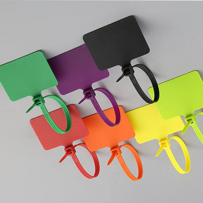 Customized Tamper Proof Plastic Seal Security Tags For Shoes And Clothing